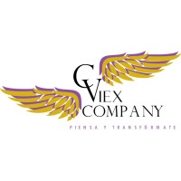 VIEX COMPANY logo - Similar company to E-Colic