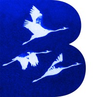 BOSENA logo - Similar company to Submersion Audio