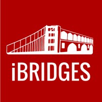 iBRIDGES logo - Similar company to Selfoptima