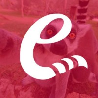 Lêmure logo - Similar company to Ponto B Marketing Online