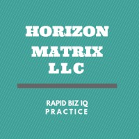 Horizon Matrix LLC logo - Similar company to Provident Protection Plus