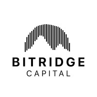 BitRidge Capital logo - Similar company to Singularity