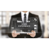Professional Experience