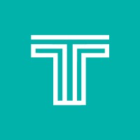 TechTidy Consulting logo - Similar company to Managed Solutions Pty Ltd