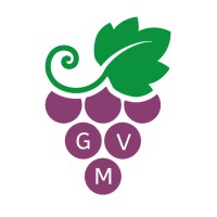 Grapevine Marketing, LLC logo - Similar company to Apso Tech