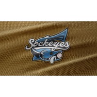Sawtooth Sockeyes Baseball Club logo - Similar company to Northbrook Baseball