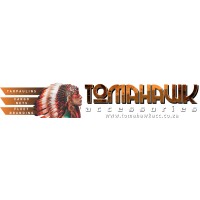 Tomahawk Accessories logo - Similar company to Progression Digital