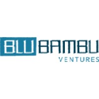 BluBambu Ventures logo - Similar company to Bridgetower Capital