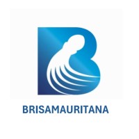 BRISAMAURITANA logo - Similar company to Emfacar