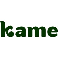 Kame logo - Similar company to Pt Primagraphia Digital