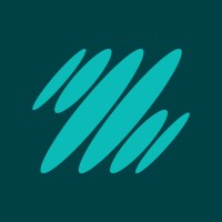 Zapbuild logo - Similar company to Tryidol Technologies