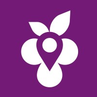 Grapevine logo - Similar company to Fathom Law