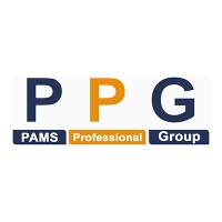 PAMS Professional Group logo - Similar company to High Five Business Solutions