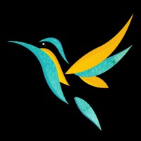 Right Way Infotech logo - Similar company to Xpert It