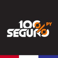 100SEGURO Paraguay logo - Similar company to Solution Box Paraguay