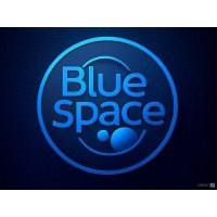 Blue Space logo - Similar company to Sinolink Ltd.