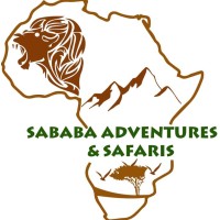 Sababa adventures logo - Similar company to Detection For Good
