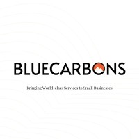 BLUECARBONS DIGITAL AGENCY logo - Similar company to Vyber Media Digital(Baas-Branding As A Service)