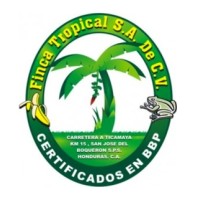 Finca Tropical S.A. de C.V. logo - Similar company to Sile S.A. De C.V.