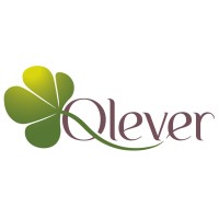 QLEVER SBT logo - Similar company to Sim Sbt