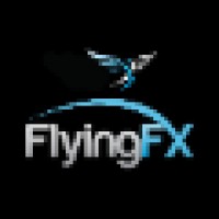 Hall Associates Flying Effects logo - Similar company to Nelson Tree Service
