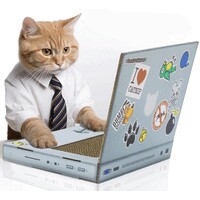 Cat Office logo - Similar company to Mba Production