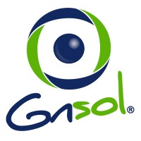 GNSOL CORP logo - Similar company to Apptim