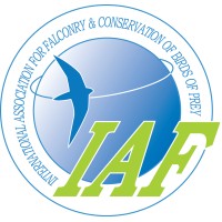 International Association for Falconry and Conservation of Birds of Prey logo - Similar company to Greenspace Ecological Solutions