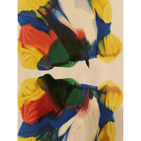 Oldenburg Sound logo - Similar company to Lts Bremerhaven 1. Herren