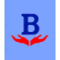 BestSellUSA logo - Similar company to Artistrybazaar Inc