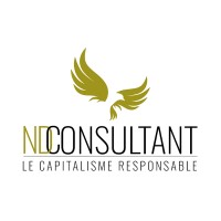 ND Consultant logo - Similar company to Php Afrique