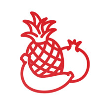 MaxiFrut logo - Similar company to Frutisima Ltda