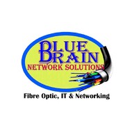 Blue Brain Network Solutions (Pty)Ltd logo - Similar company to Proccio