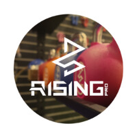 Nantong Rising Sporting Goods Co;Ltd. logo - Similar company to Nantong Chitsuru Food Co.,Ltd