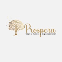 Prospera Capital Humano e Organizacional logo - Similar company to Leouve