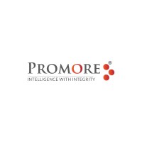 Promore Group logo - Similar company to Promore Fintech