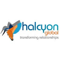 Halcyon Global Ltd logo - Similar company to Tools Van De Coach