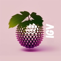 Ibiza Grapevine logo - Similar company to Ibiza Digital