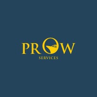 Prow Services logo - Similar company to Savvy Ray Technologies