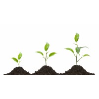 Innovare Group