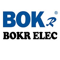 Bokong Electric Co.,Ltd.( BOKR ELEC ) logo - Similar company to Egridtek