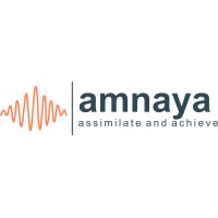 Amnaya Technologies Private Limited logo - Similar company to Inevitable Group