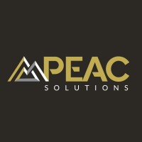 PEAC Solutions Europe logo - Similar company to Peac Solutions
