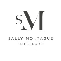 Sally Montague Hair Group logo - Similar company to Reflections Hair Group