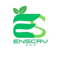 Enscrv logo - Similar company to Et Energy