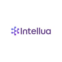 Intellua logo - Similar company to Convolve Nv