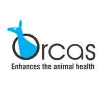 Orcas Pharmaceuticals logo - Similar company to Masterstroke Tech Systems