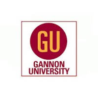Gannon University MBA logo - Similar company to Gannon University Dahlkemper School Of Business