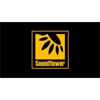 Studio Soundflower logo - Similar company to Black Photon