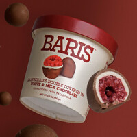 BARIS logo - Similar company to Bubluv
